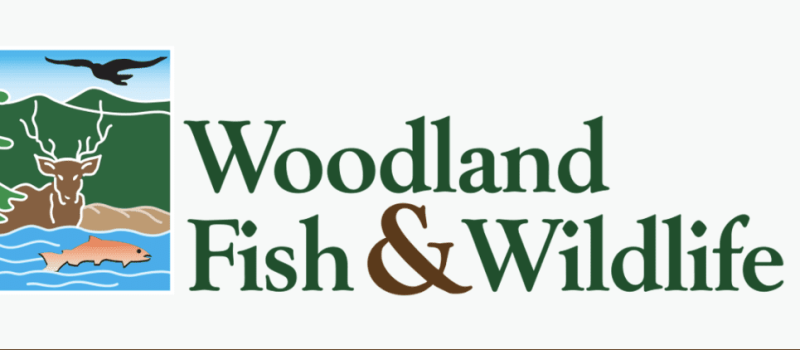 Woodland Fish and Wildlife Logo larger